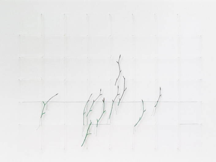 Síť XXXII., 1982